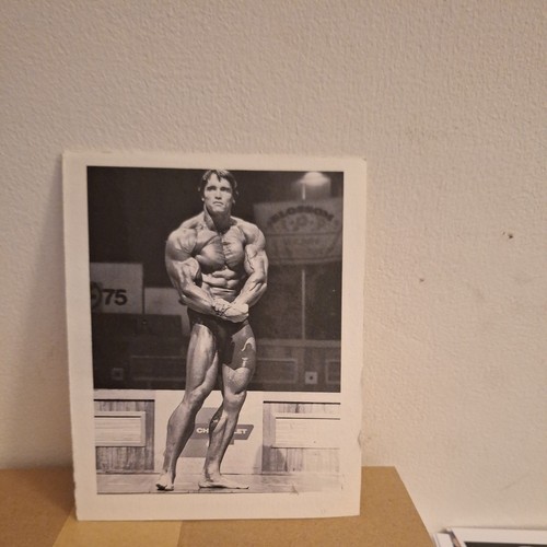 Arnold schwarzenegger - arnold,