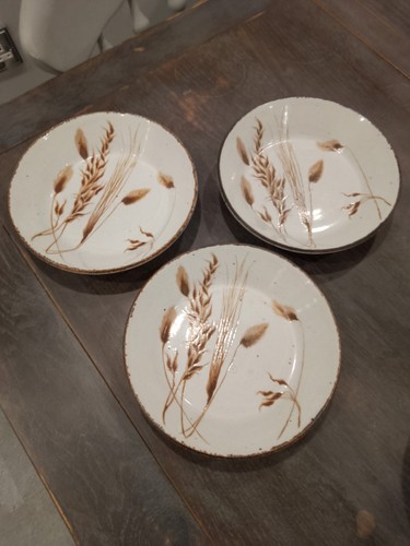 Midwinter pottery wild - 3,