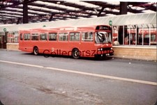 1981 West Yorkshire Bus PNW599W Bradford Interchange 5x3 In With Copyright 81024