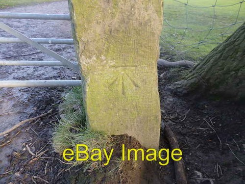 Photo 6x4 cut mark - cut,