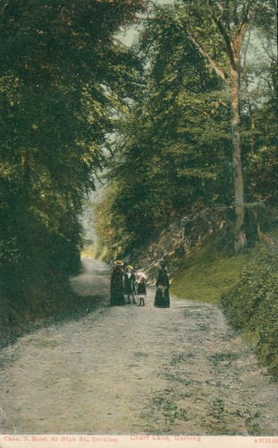Dorking surrey chart - dorking,