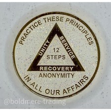 12 Step Alcoholics Anonymous