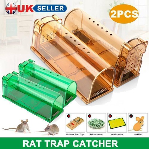 Humane mouse trap - mouse,