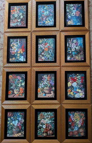 Marianne north floral - marianne,