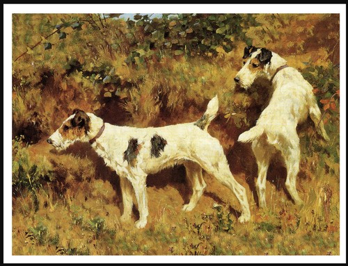 Wire fox terrier - fox, vintage