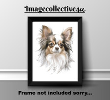 CHIHUAHUA DOG   A4 PRINT