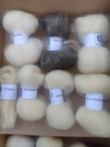 Hand spinning sheep breed - sheep,