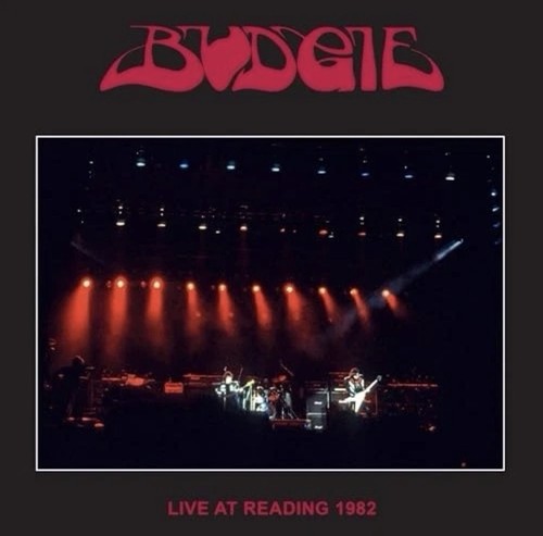 Budgie live at reading - at,