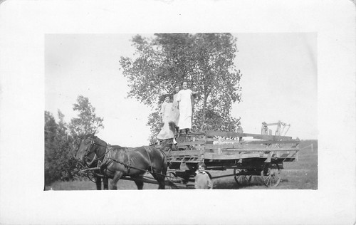 Farm ladies pose - farm, of