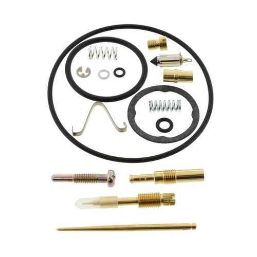 Carburetor revision kit - carburetor,