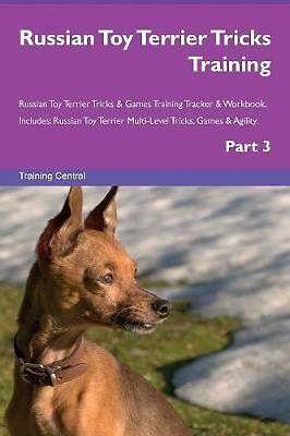 Russian toy terrier - toy,