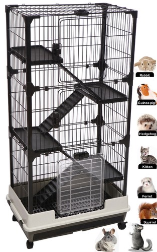 Large tiers indoor guinea - indoor,