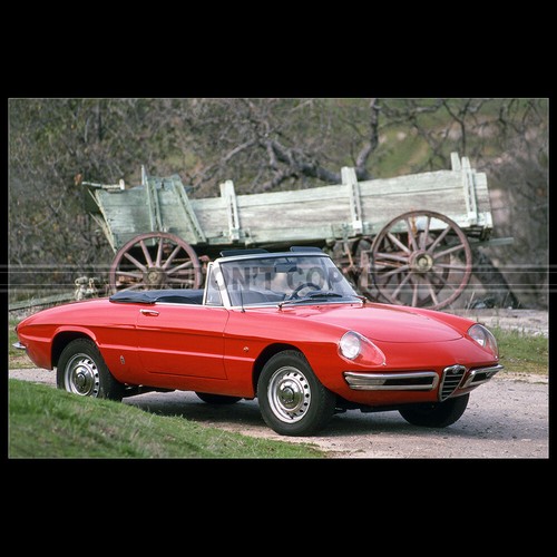 Photo 028114 alfa romeo - photo,