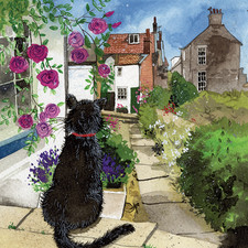 Alex Clark Greetings Card - Back Step Black Cat