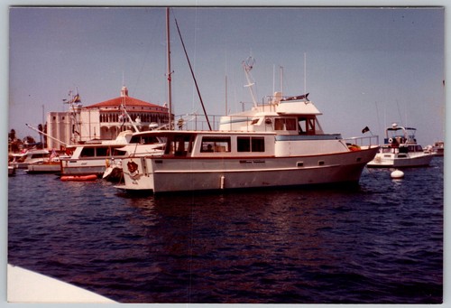 Vtg color snapshot cabin - snapshot,