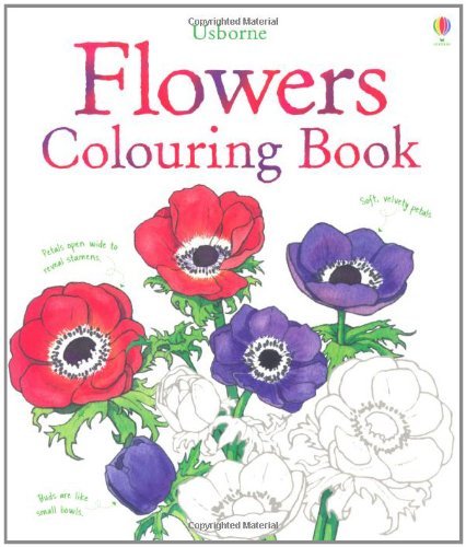 Flowers colouring book - colouring,