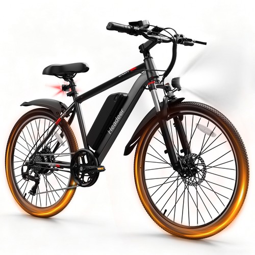 Electric bike 250w 48v - 250w,