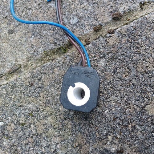 Riello burner solenoid coil - solenoid,