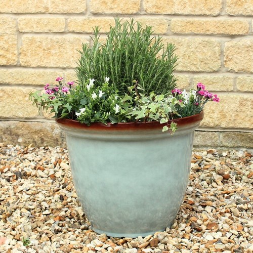 Ceramic effect plant - ceramic, pot–