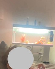 240L Aquarium tank & stand