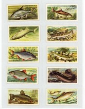Brooke Bond Freshwater Fish
