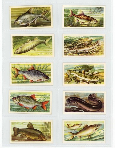 Brooke bond freshwater fish - bond,