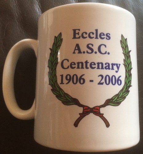Eccles amateur swimming club - amateur,
