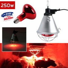 Infrared Heat Lamp Poultry