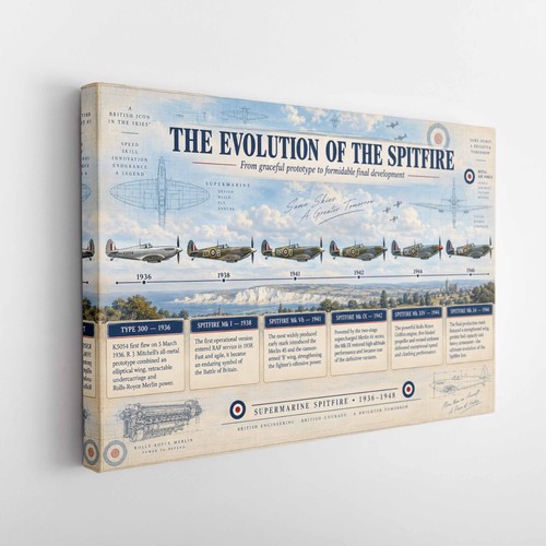 Spitfire evolution canvas - canvas, wall