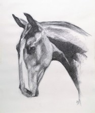 ORIGINAL Horse Charcoal