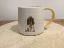 M&S Marks And Spencer Spaniel