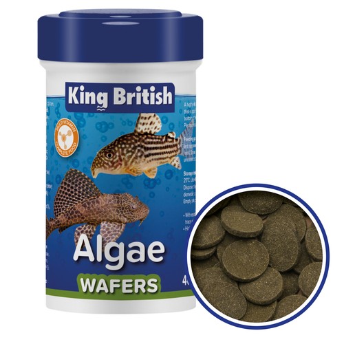 King british algae wafer - king,