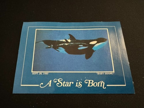 Seaworld baby shamu - seaworld, is