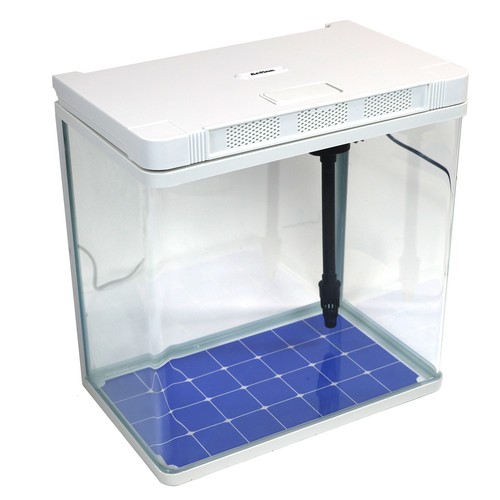 Aquarium fish tank kit - fish,
