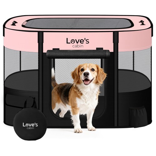 Pet puppy dog - dog, large