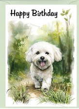 Bichon Frise Dog Birthday Card