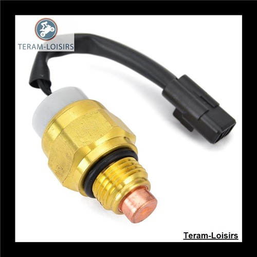 Thermostat radiator probes - thermostat, for