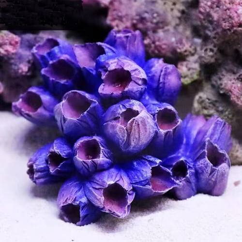Artificial resin shell - artificial,