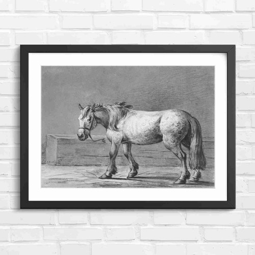 Dappled grey draft - grey,