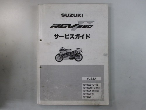 Rgv gamma 250 service - rgv,