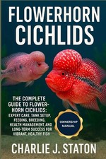 Flowerhorn Cichlids: The
