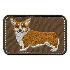 The Welsh corgi  - cute