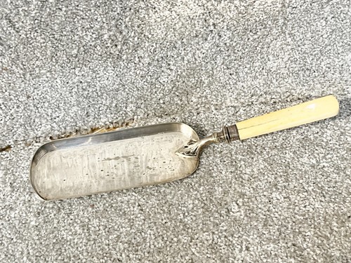 Vintage silver plate crumb - vintage,