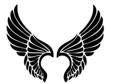 ANGEL WINGS DIE CUT VINYL