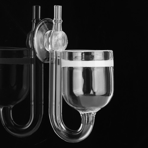 Co2 glass diffuser reactor - co2,