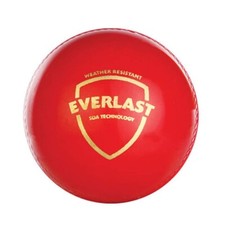 SG Everlast Leather Cricket