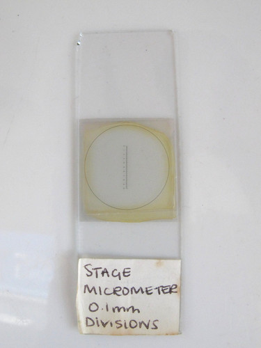 Vintage microscope slide stage - vintage,