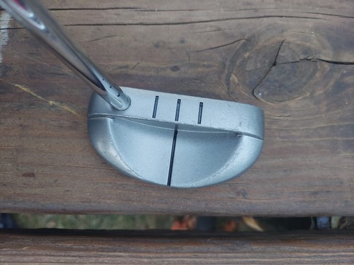 Warrior custom golf wcg mallet - golf,