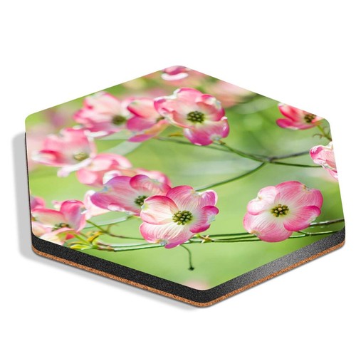 Hexagon mdf coaster pink - mdf,