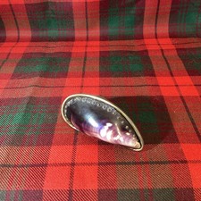 Stunning Mussel Shell Snuff